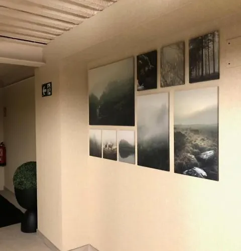 Roomtegi Pensión 3*